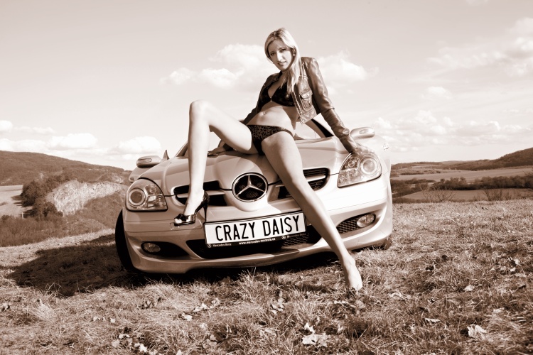CrazyDaisy 2010
