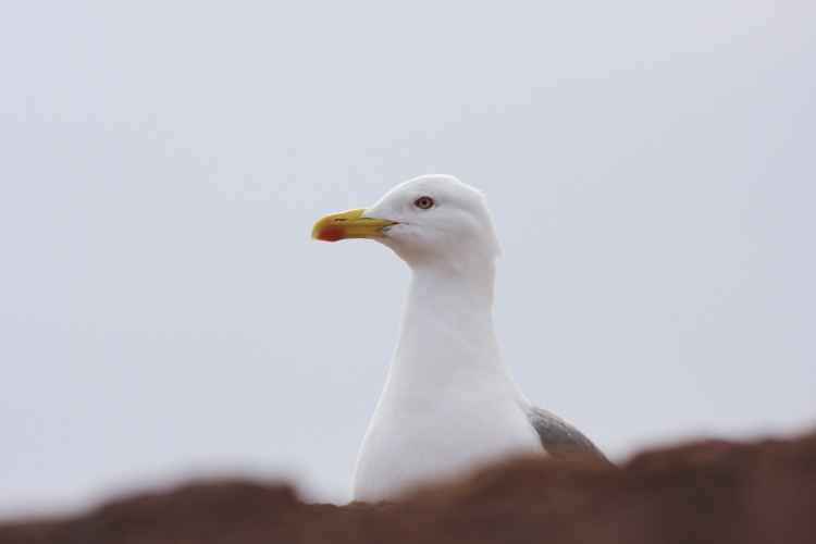 Lanzarote - Kanárské  ostrovy