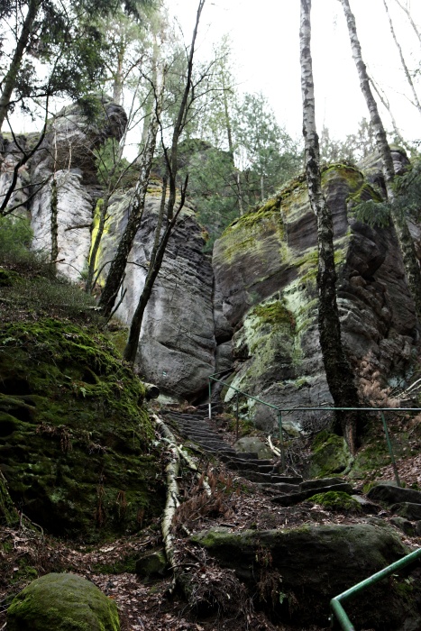 Prachovské skály