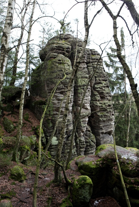 Prachovské skály