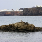 Lanzarote - Kanárské  ostrovy | fotografie